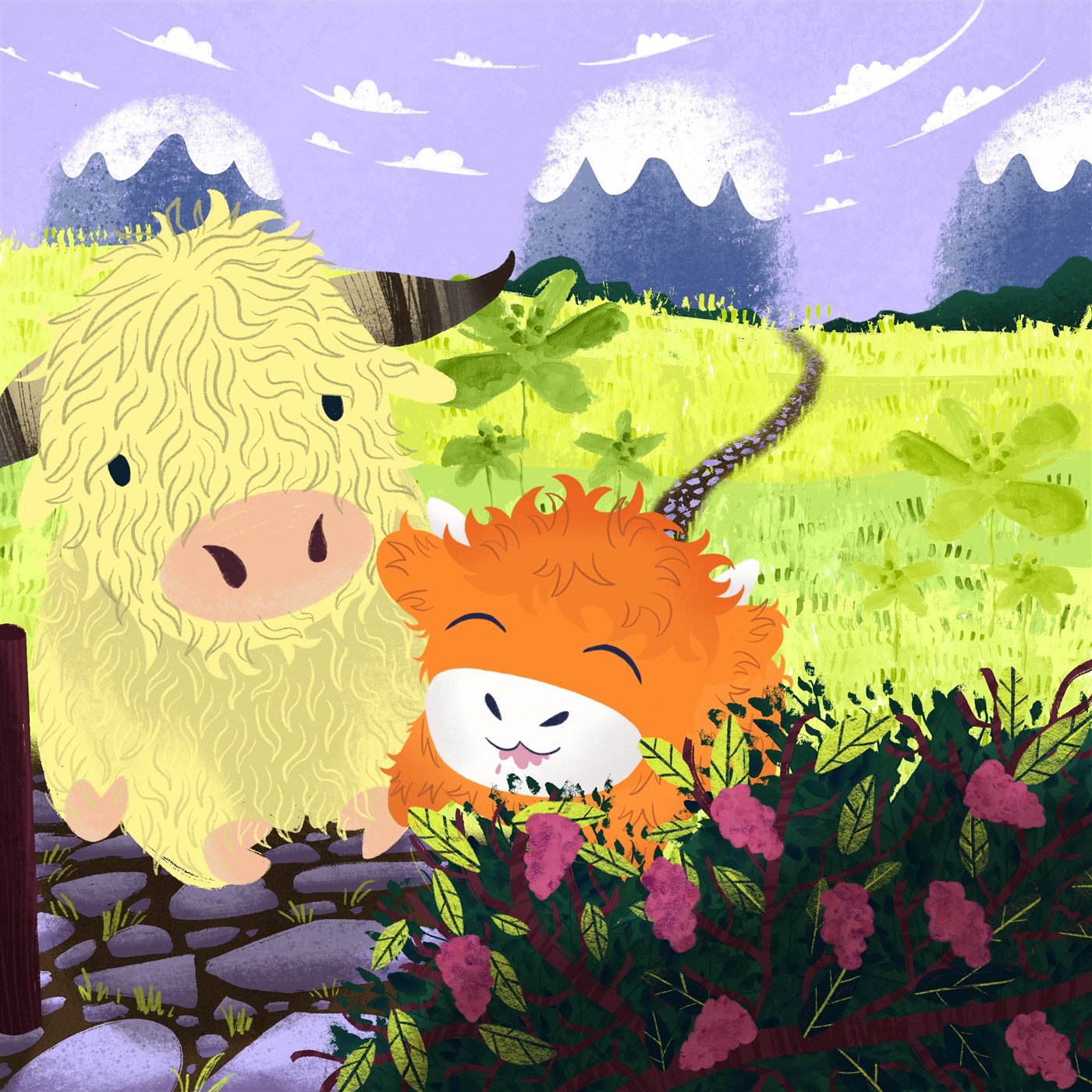 Henry and Angus, two highland cows
