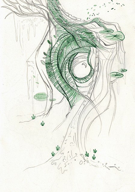 Pencil and ink tree root sketch